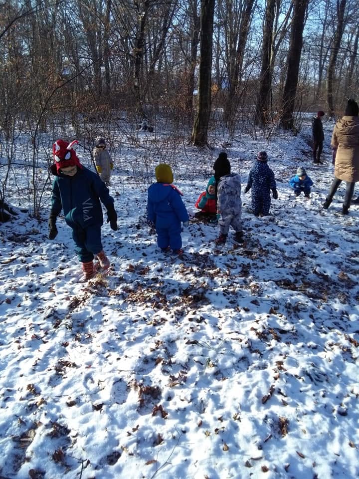 Copii explorând pădurea la Wallie Forest Kidz